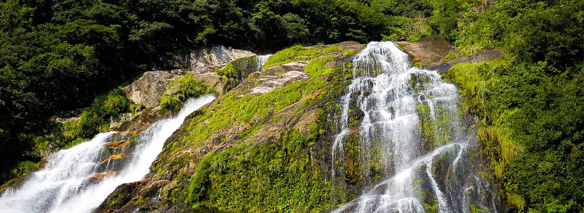 YakushimaFestival Ohko Falls, Senpiro Falls, Yakushima's famous waterfalls