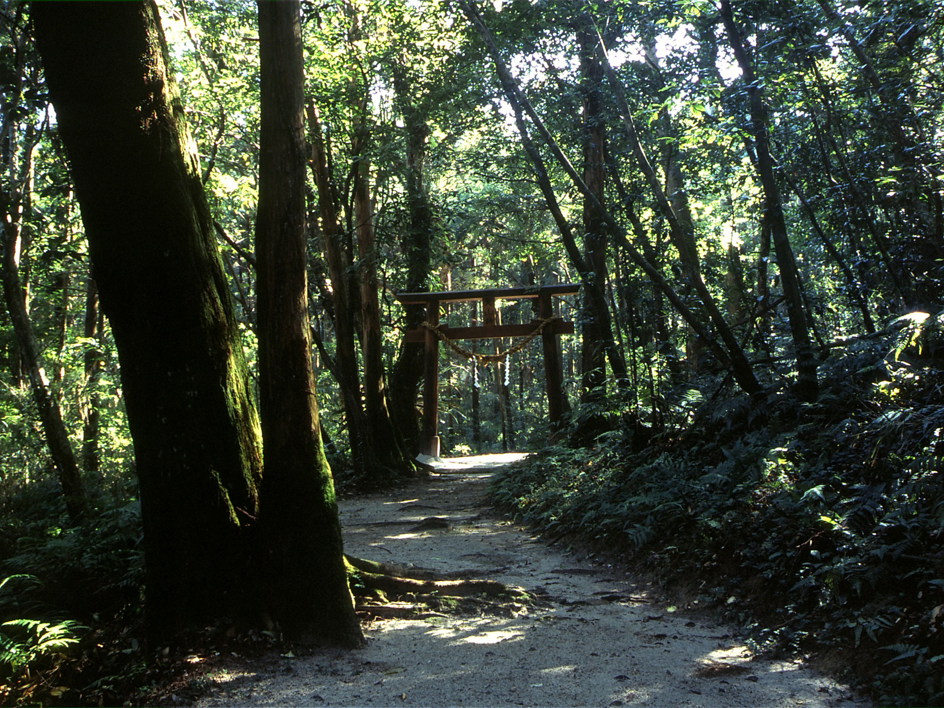 UNESCO Eco Park