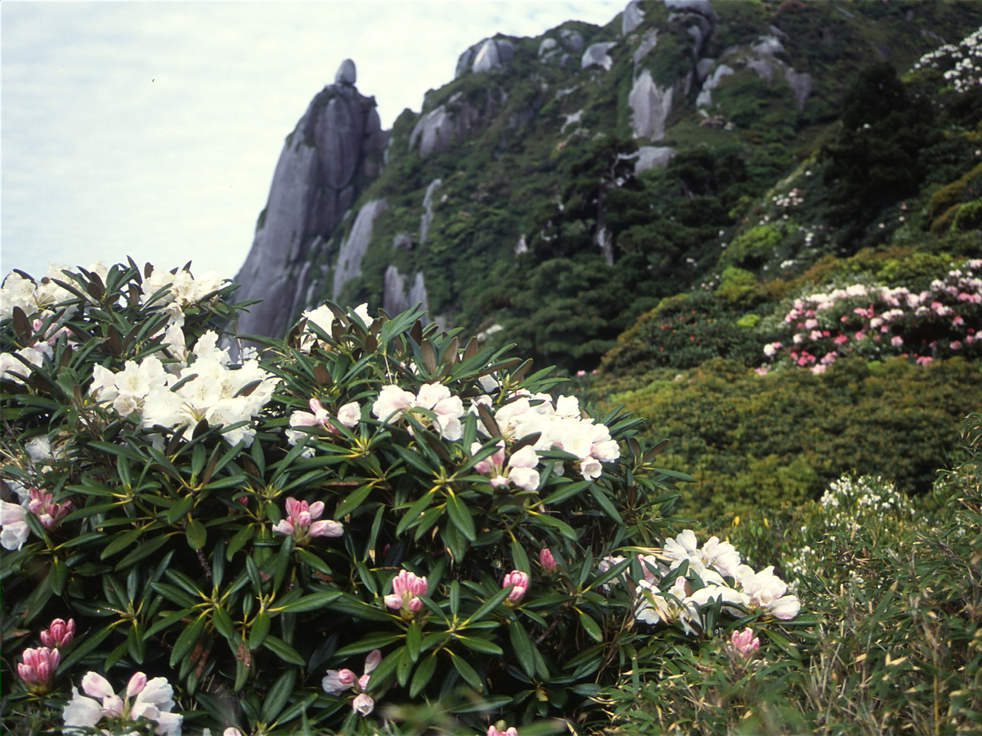 世界自然遺産登録地