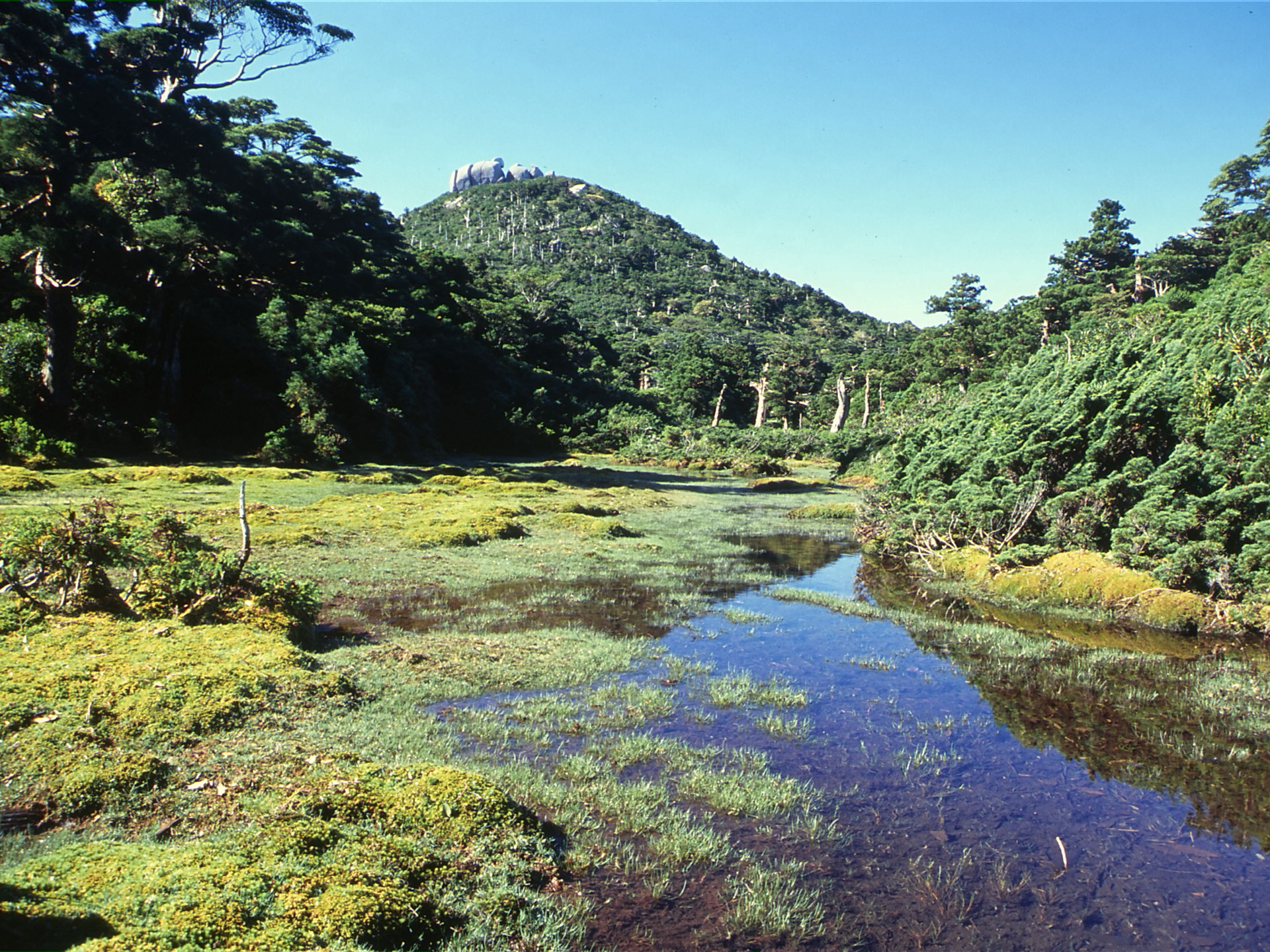 世界自然遺産登録地