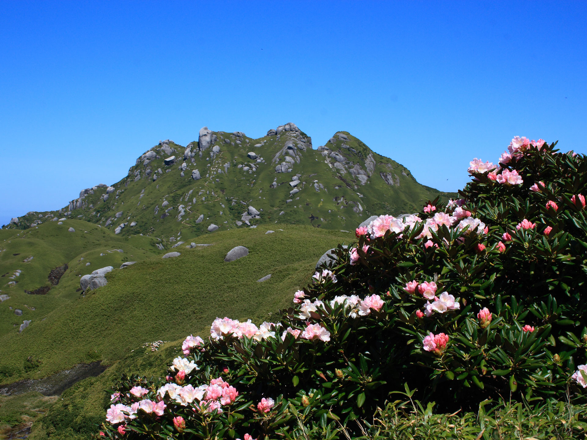 宮之浦岳・屋久島連山