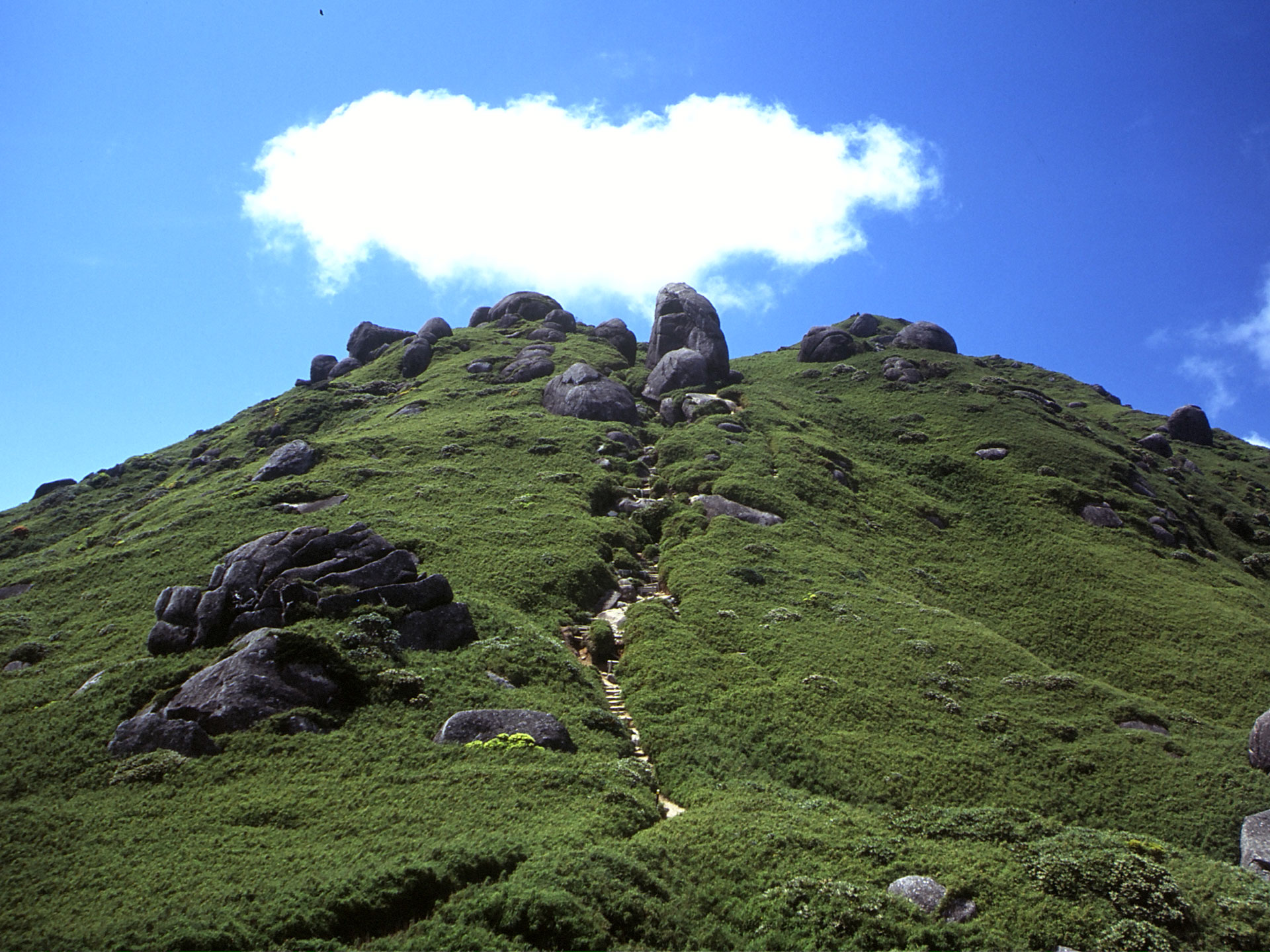 宮之浦岳和屋久島山脈