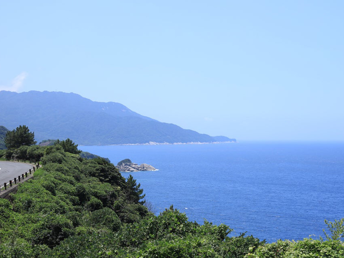 Yakushima Information