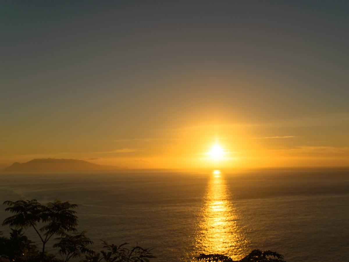 Yakushima Information