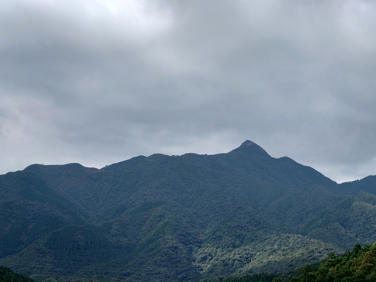 Yakushima Information