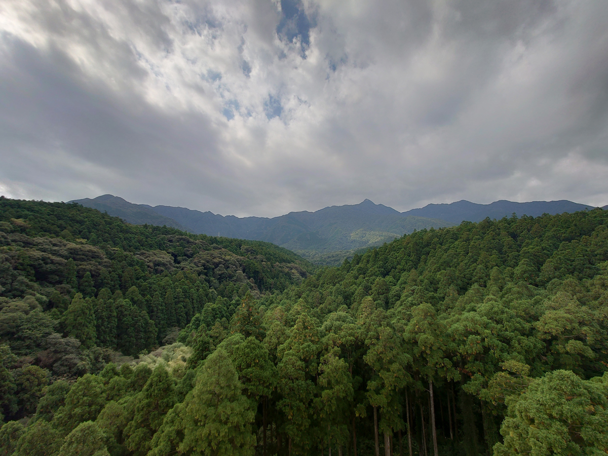Yakushima Information