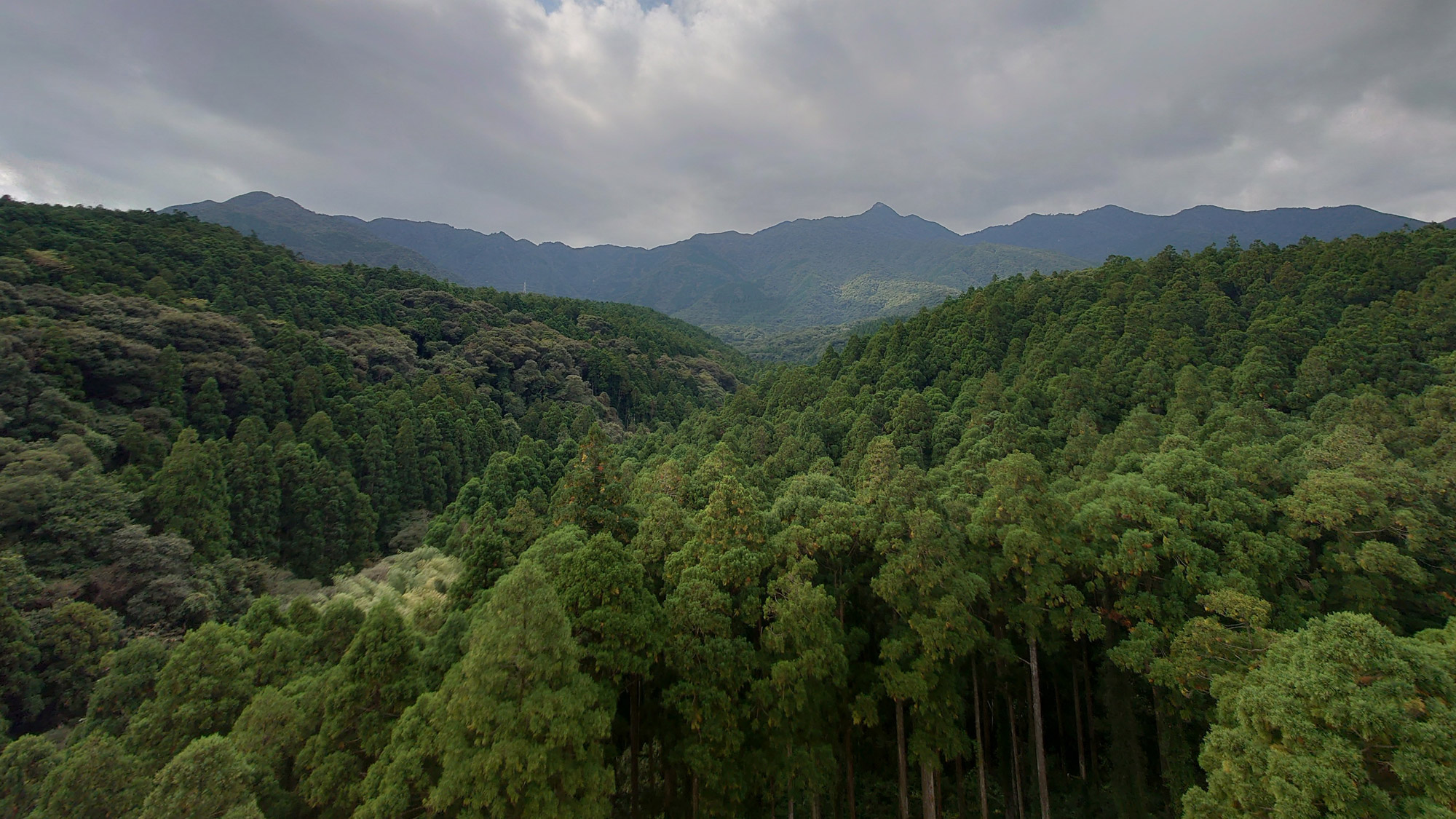 Yakushima Information