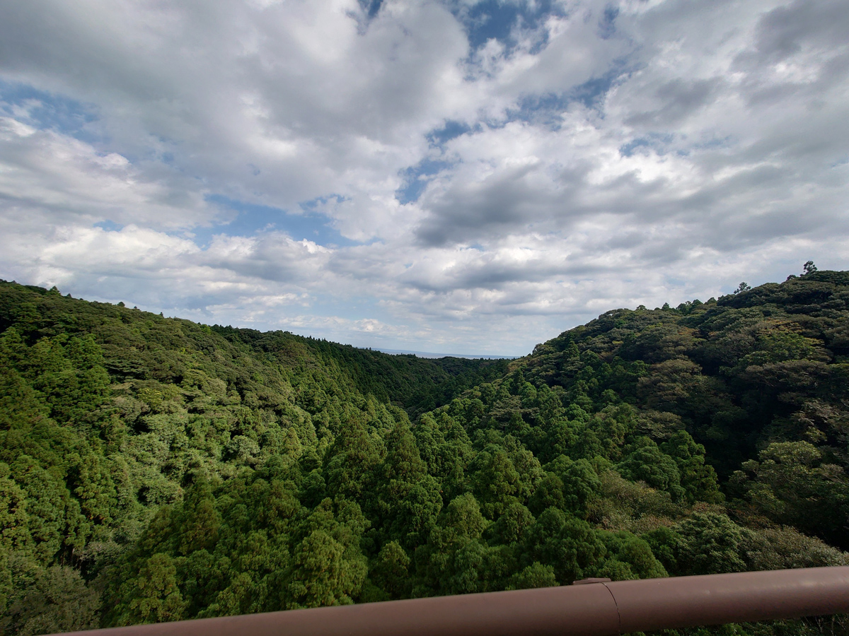 Yakushima Information