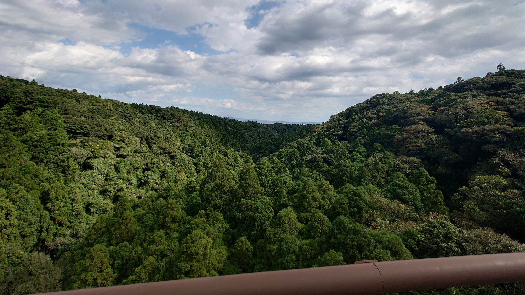 Yakushima Information