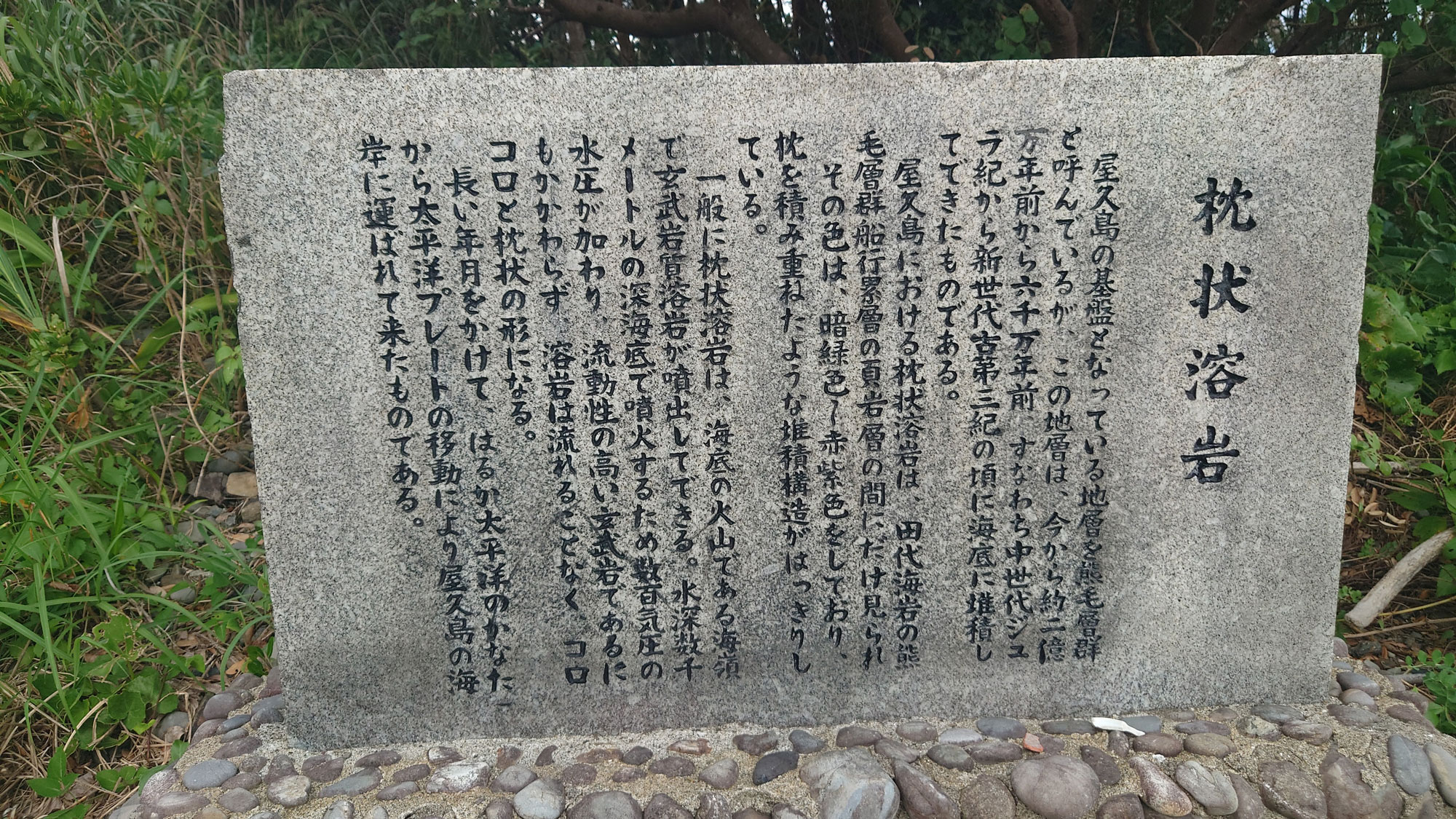 Yakushima Information