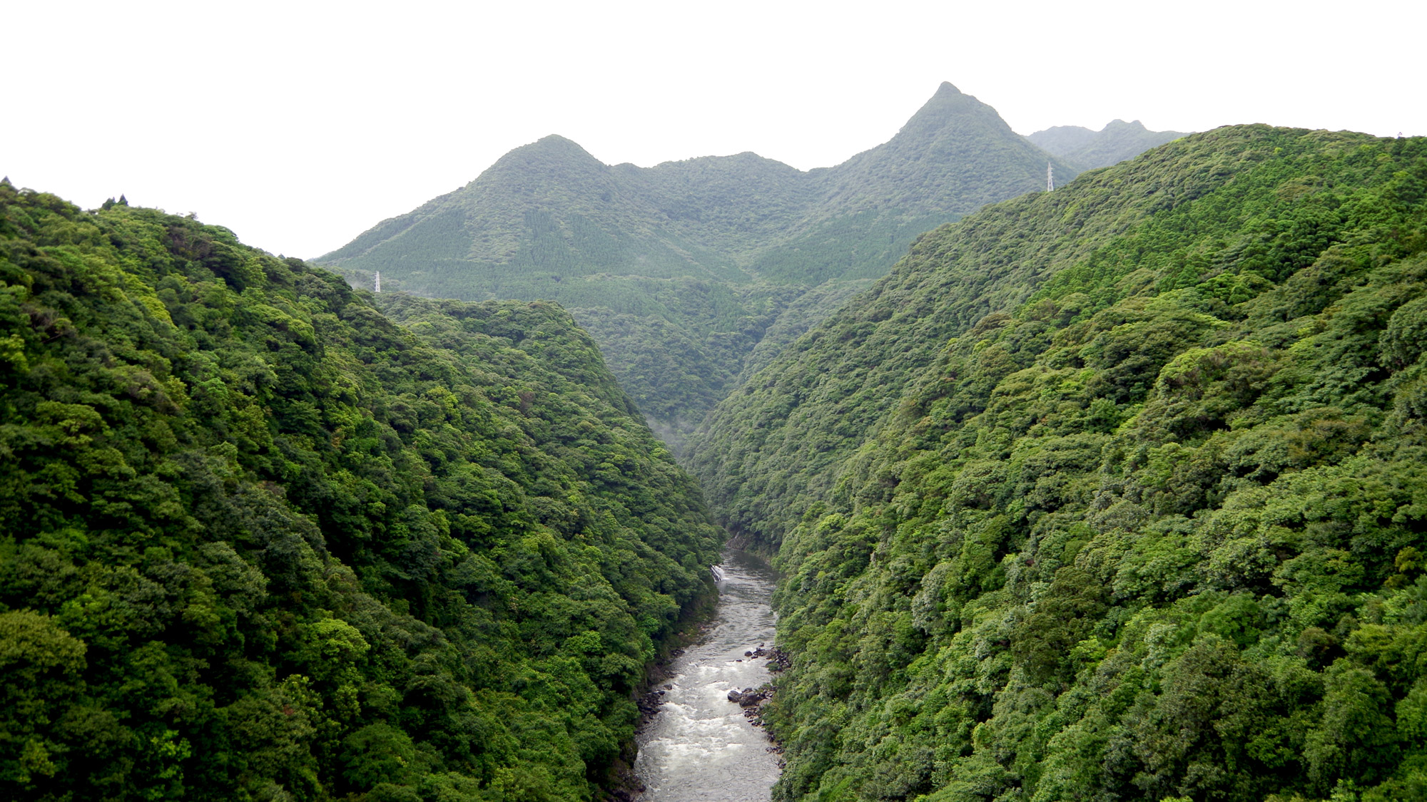 Yakushima Information