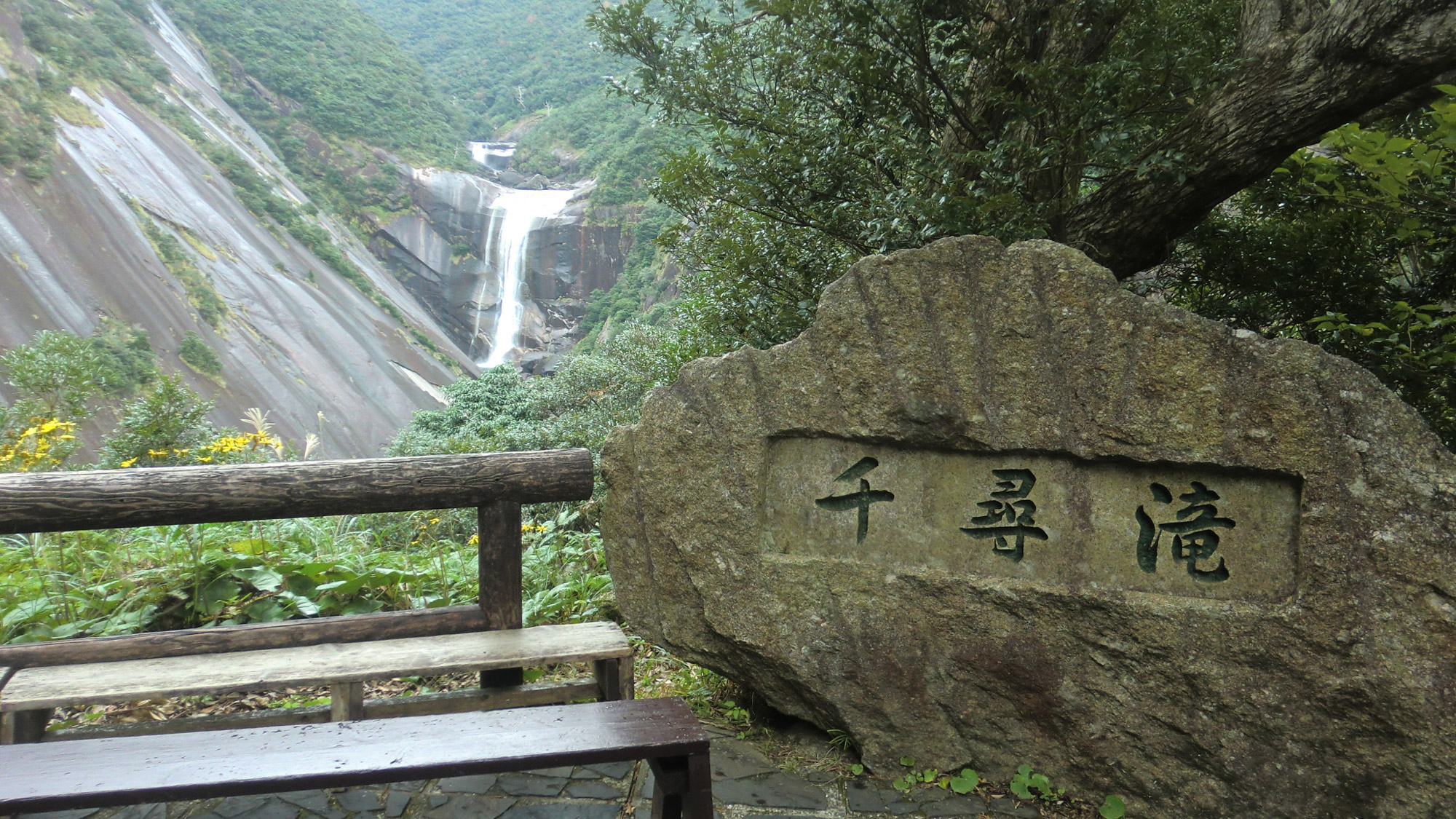 Yakushima Information
