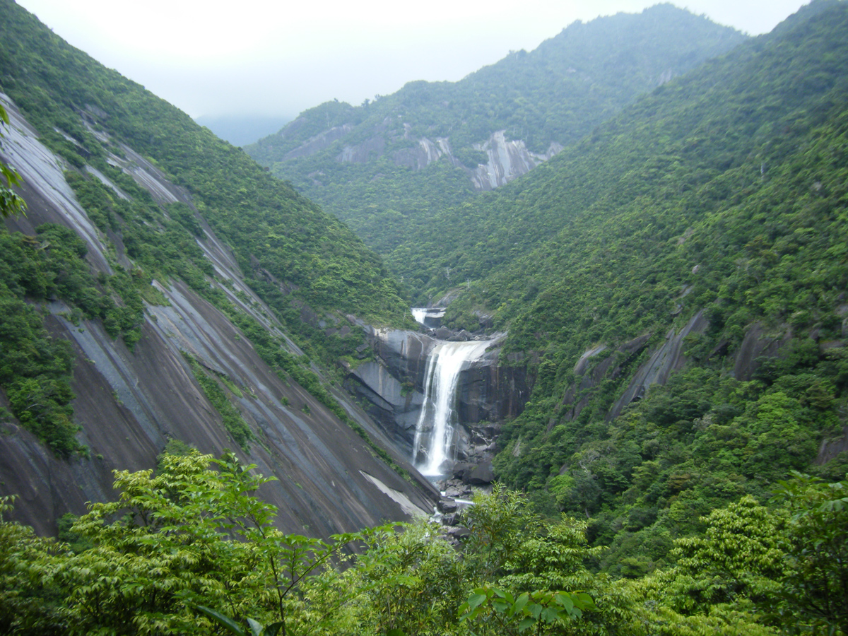 Yakushima Information