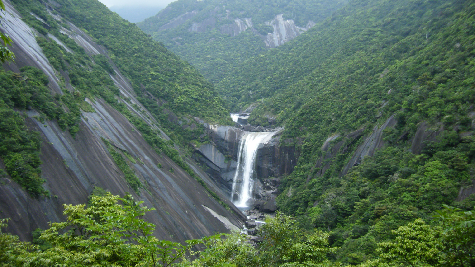 Yakushima Information
