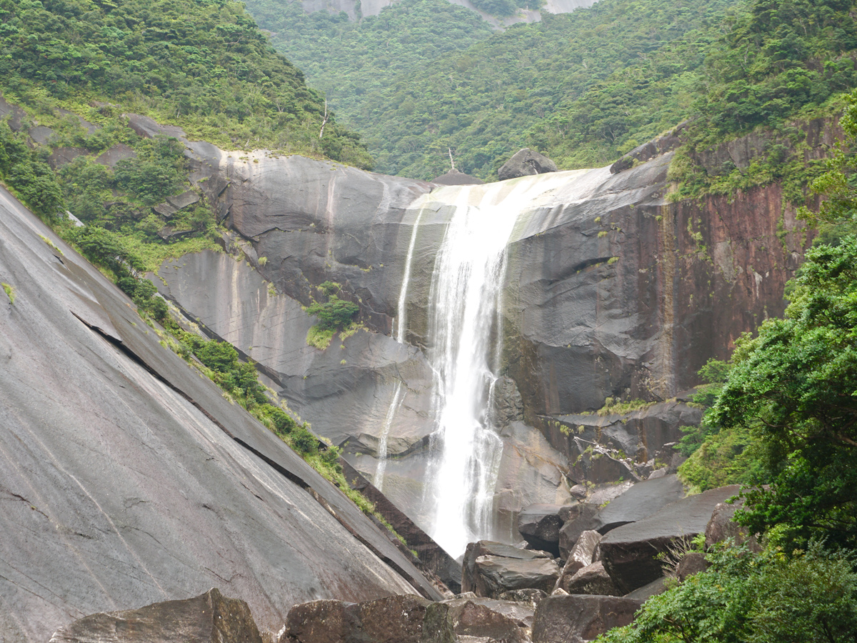Yakushima Information