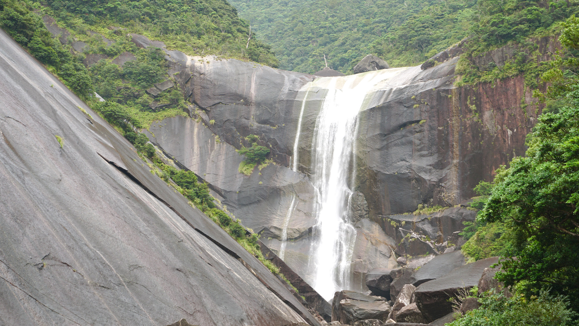 Yakushima Information