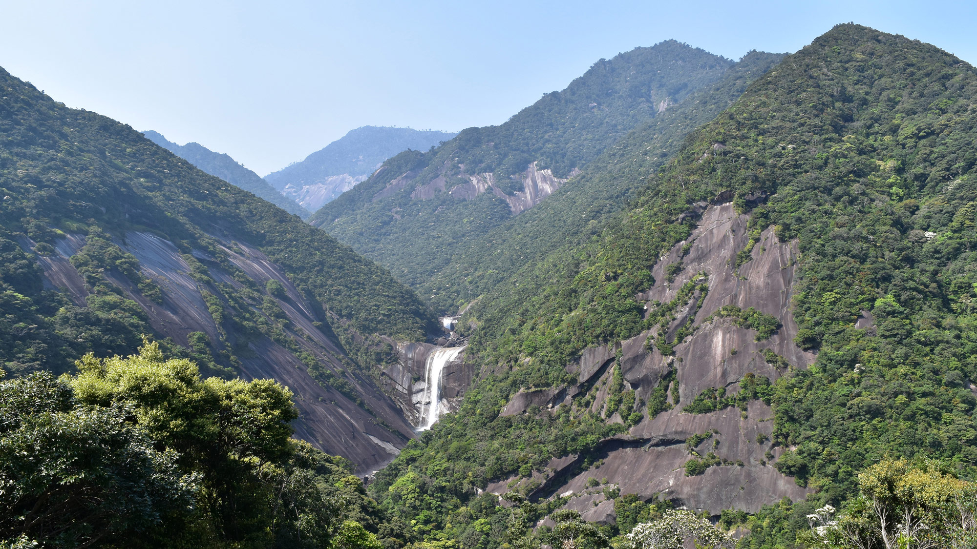 Yakushima Information