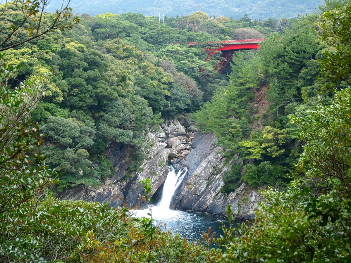 Yakushima Information