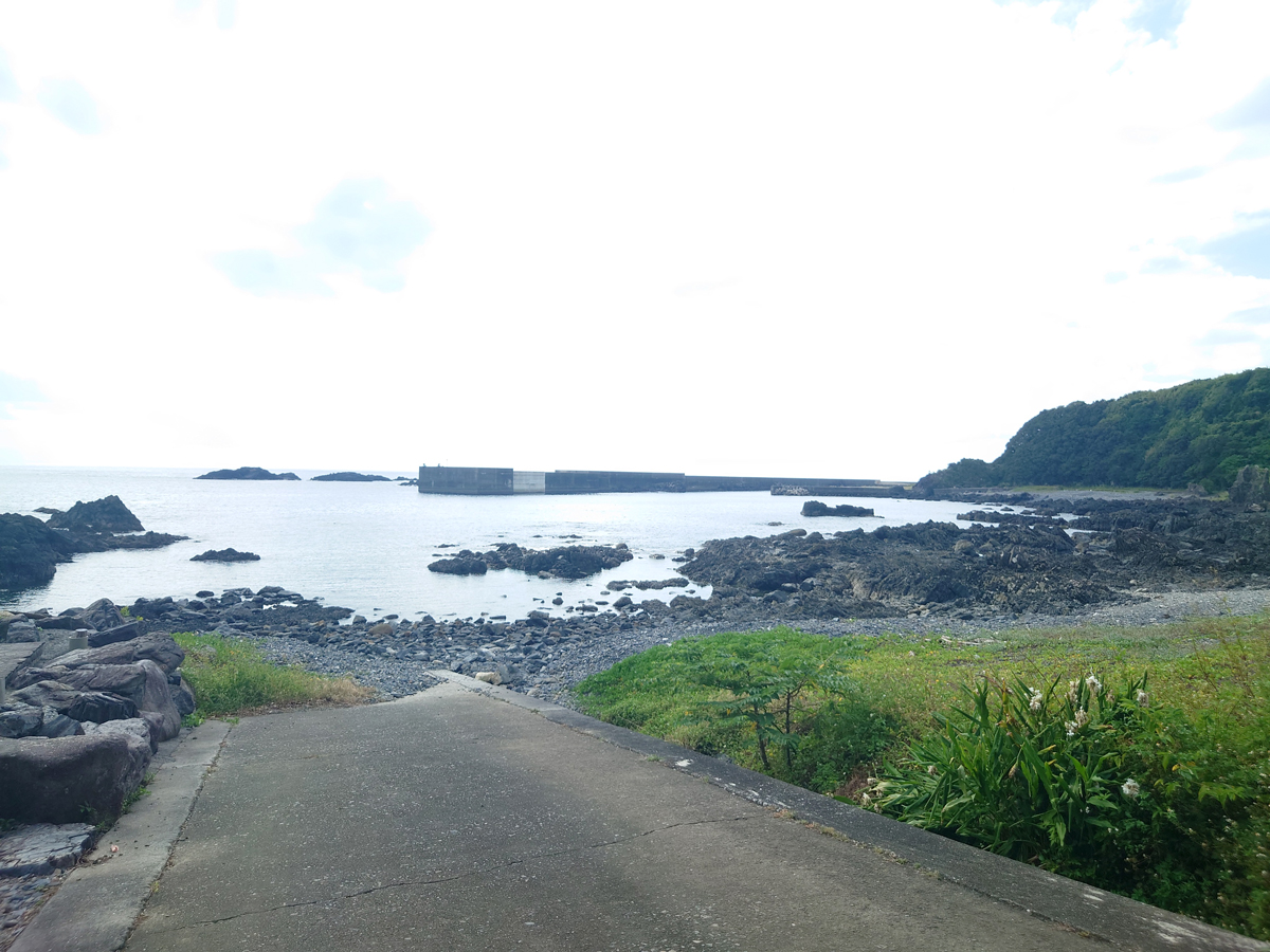 Yakushima Information