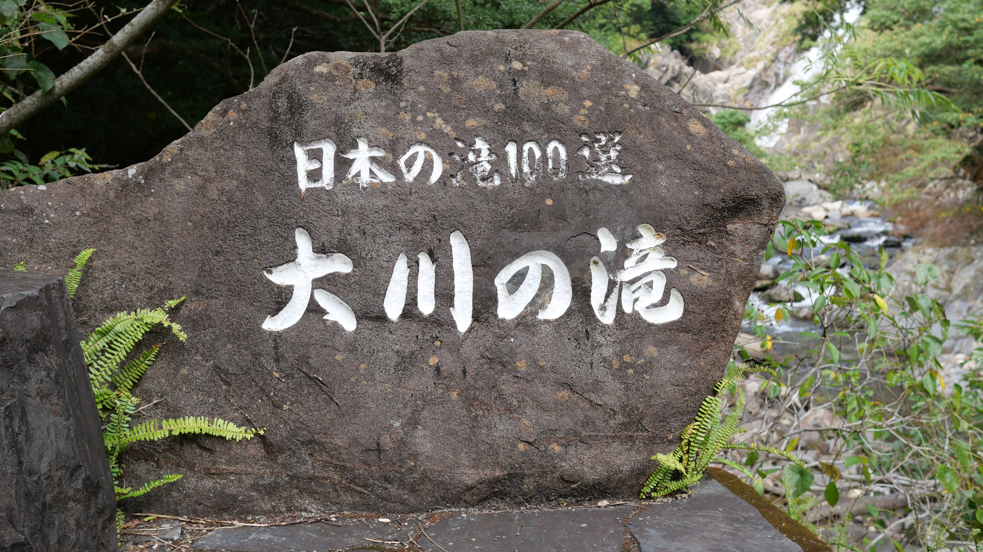 Yakushima Information